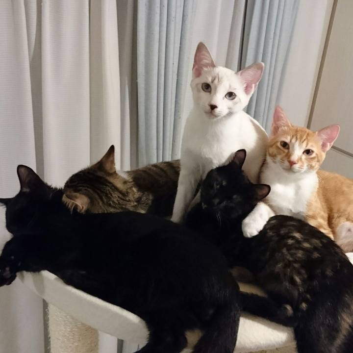 11fdbc72 fac8 49a6 be76 b83e96832bd0