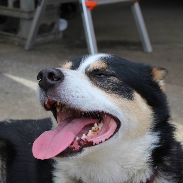 11fe3e1f 4fa9 4975 b3ec c56e0ea115d4