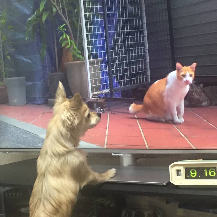 11fea6eb 3b40 4e8d 93e7 3c5db543c784