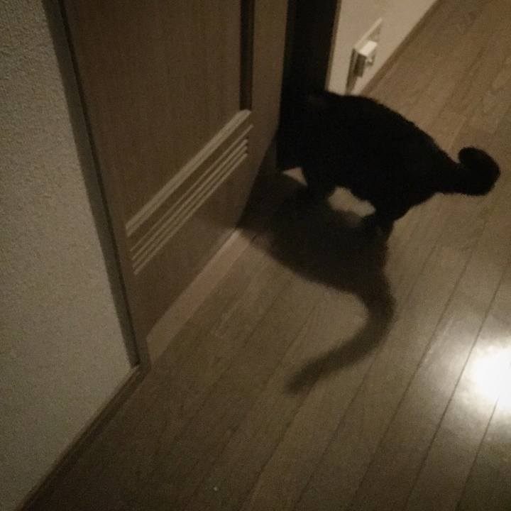 11ff797f 23bd 443e a200 6e5907bea672