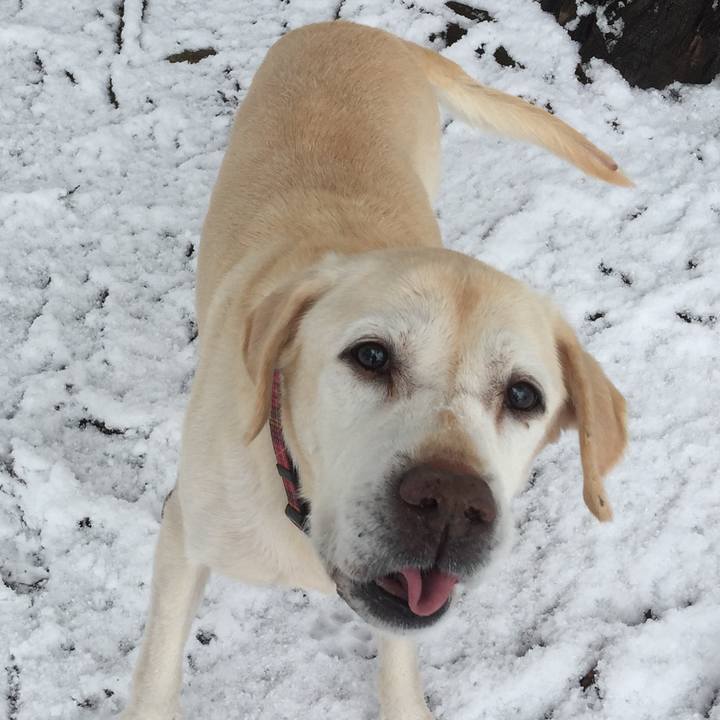 11ffc1e2 9f01 4b33 aaab 3eb8d4e836b7