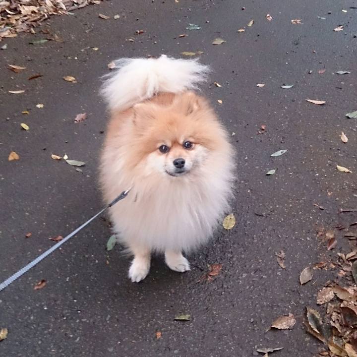 1200f693 3484 4105 8e5b acf69adc4678