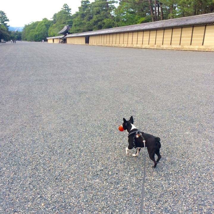 12021328 37ea 4fe2 a08f 8a33dd2451b7