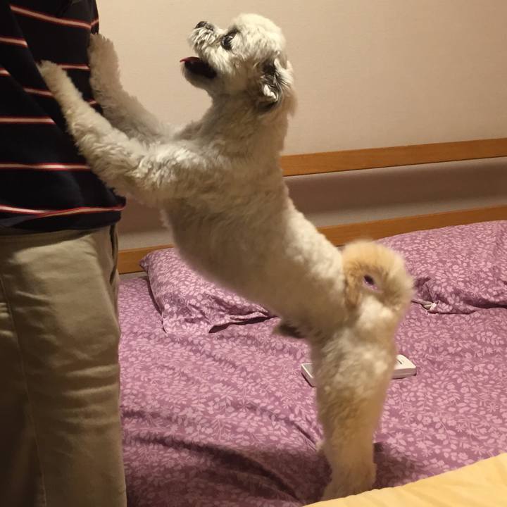 12024867 9bf2 4b0a a20d e8e2ba32f545