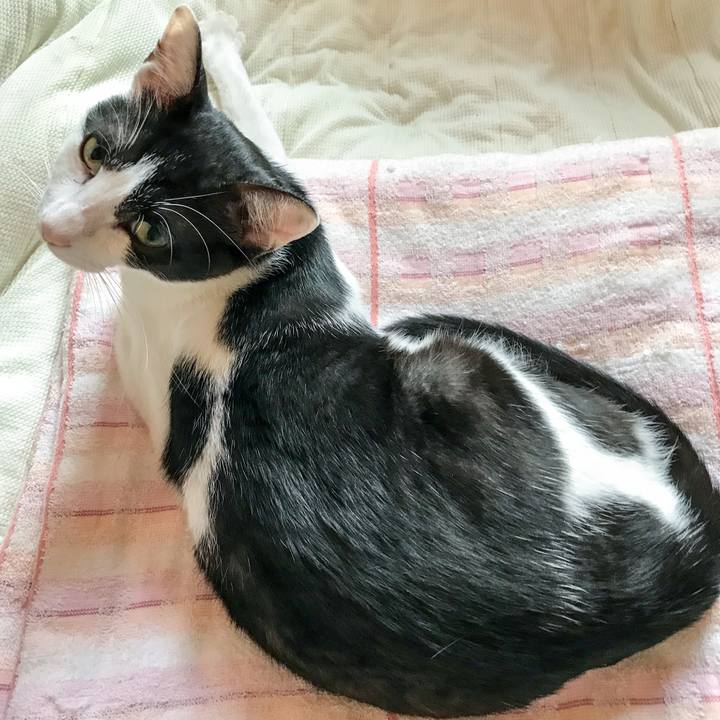 1202bcc8 11c9 419c ab95 1c42f97c297f