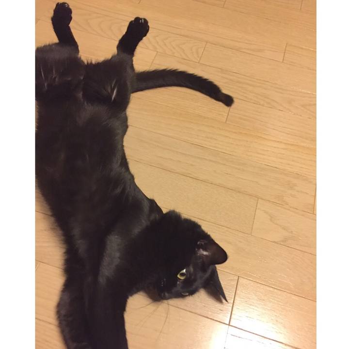 1202e29e ee2a 4203 9f26 bf115f92d0eb