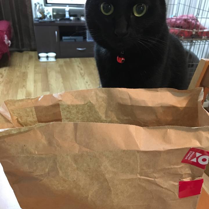 1202edd8 e023 4527 bd97 3aa6d3899c66