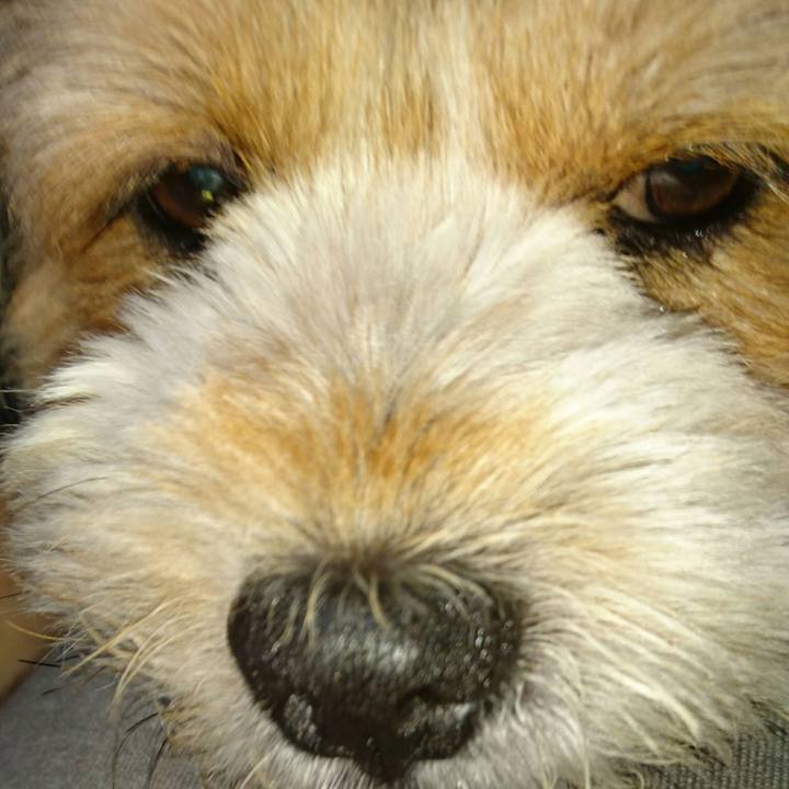 12038a5a 9de4 44da 87b6 d6f355c9197e