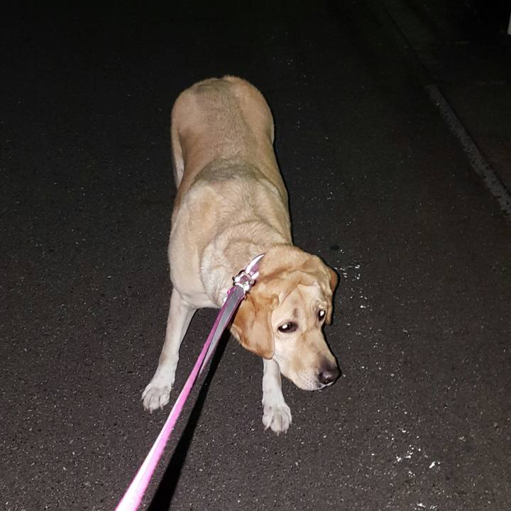 1203a3c2 a105 4e89 8489 a9edc95b11a8