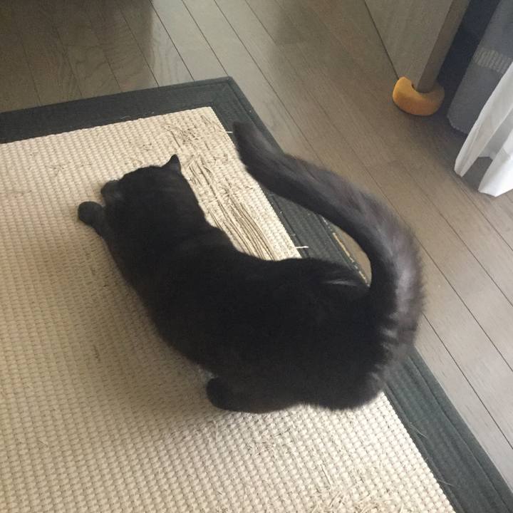 1203c173 e955 43d6 bd39 4740fe27212d