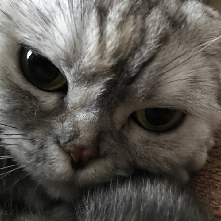 120535bf 8108 44a1 b8a7 a94021596640