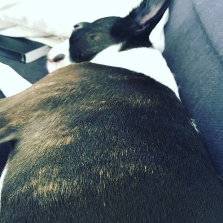 12061f7e 2437 4fe5 8bbd 9418dde14e8b