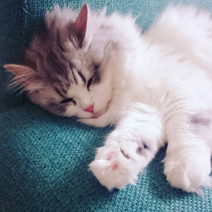 120707ab 4fcc 4740 b8c6 3c0f9af749b0