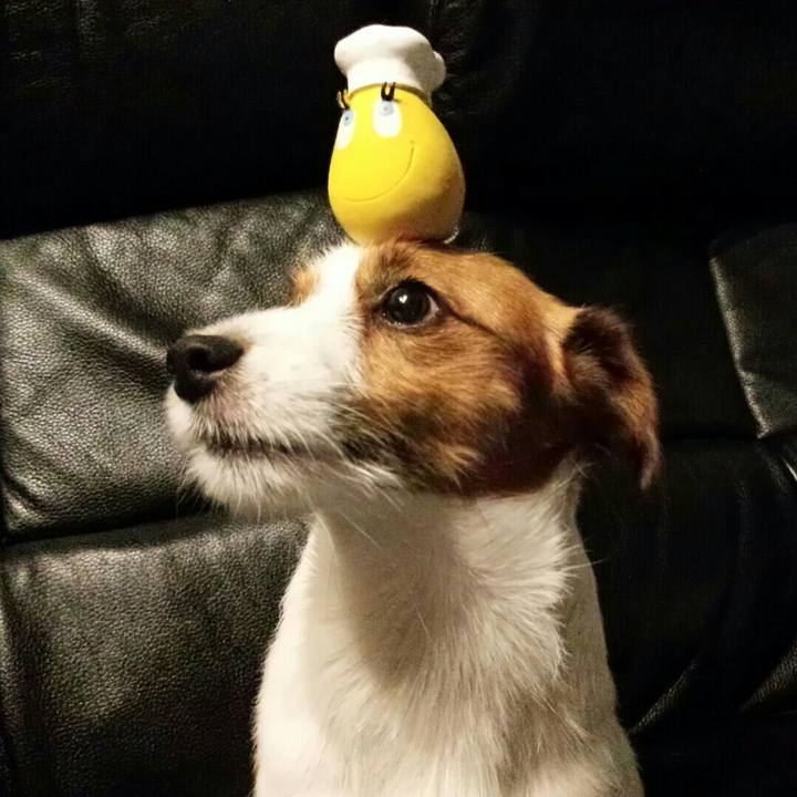 1207ffc9 804b 4d15 a9f5 bc2023c842bc