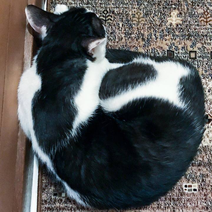 120810c2 8293 4196 a8bc cf90cd2f653b