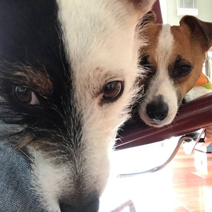 12085732 1f73 40fe a7d6 9810624b4b44