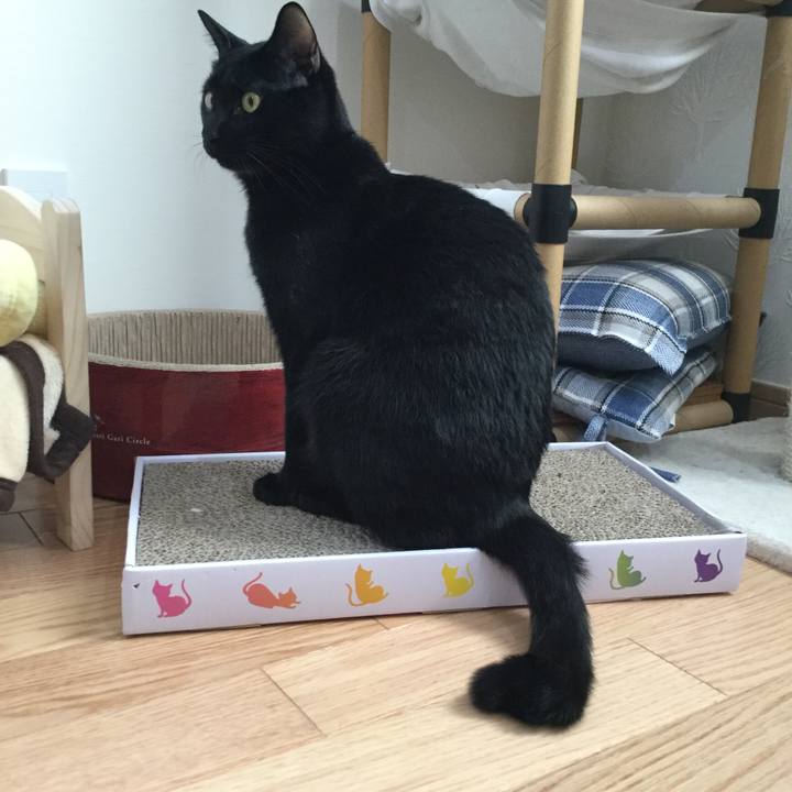 1208be22 c31c 4169 81cd 42c1d009cb6b