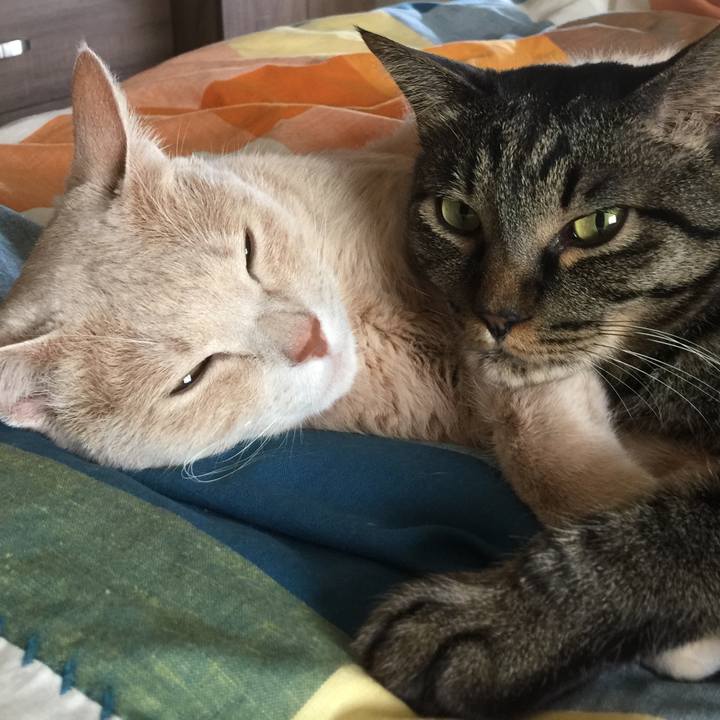 1208d2ae 6463 4ee4 b587 47e6af3c59d0