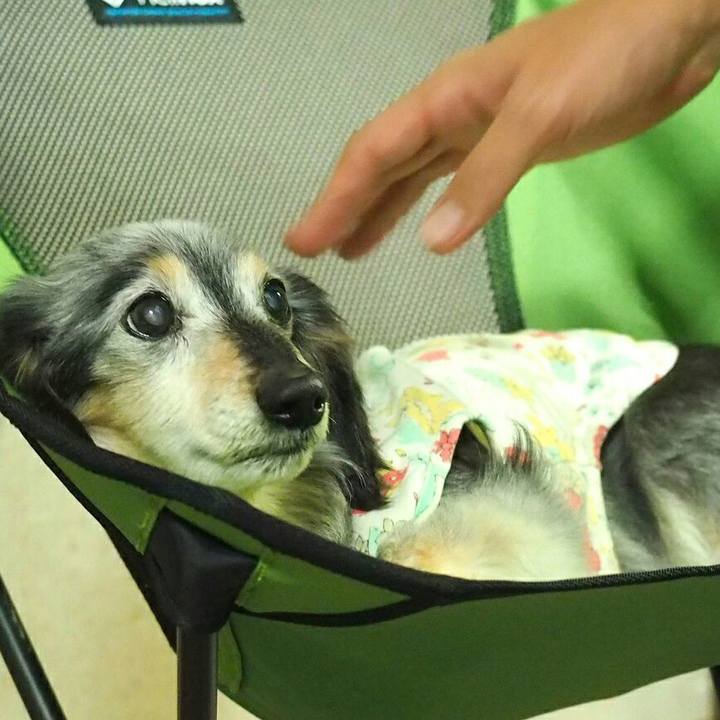 12093272 49f9 49d1 920b 40ee6f374e75