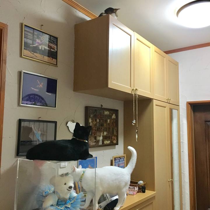 1209c38d 7f2b 4bc0 8c92 ae253f6cb7a1