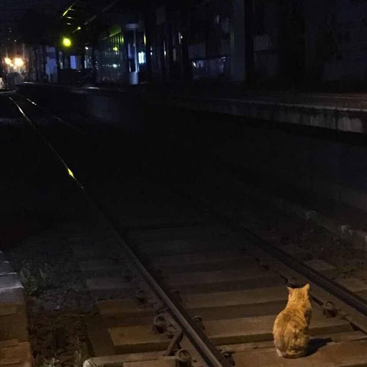 120a9784 d3ac 426a a388 31f7f2481430