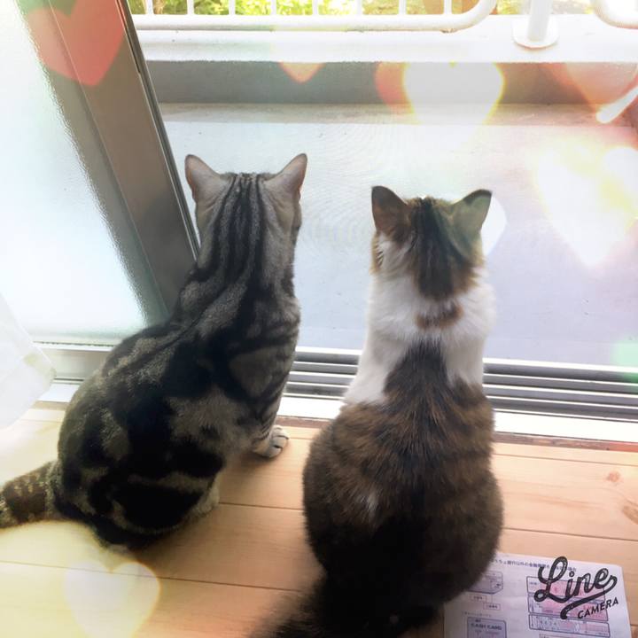 120b149f caf3 40a3 ba45 18baa6fddeca