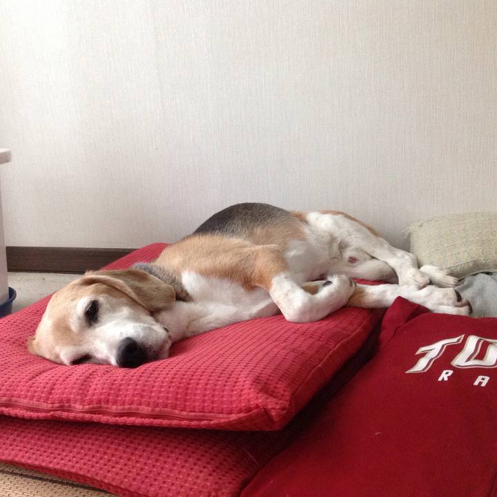 120b74bf 2e7d 4664 815b a5b16b359056