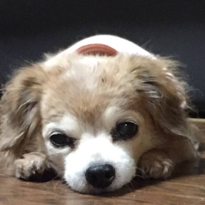 120c4ac7 8693 4304 85a9 10a5606ea9a4