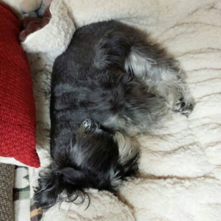 120c6673 7c2b 47e4 b591 528133e9b655