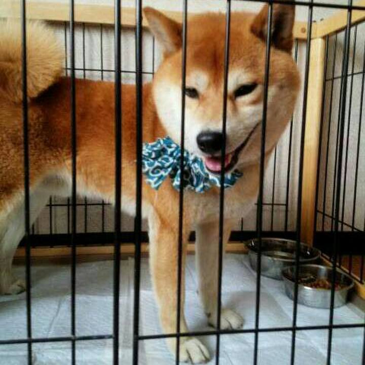 120cf37e f6fb 4597 ba05 ca1e5a67d7bd