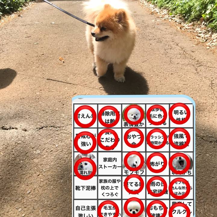 120d24b6 0e61 4a17 8df7 2d3671e4319d