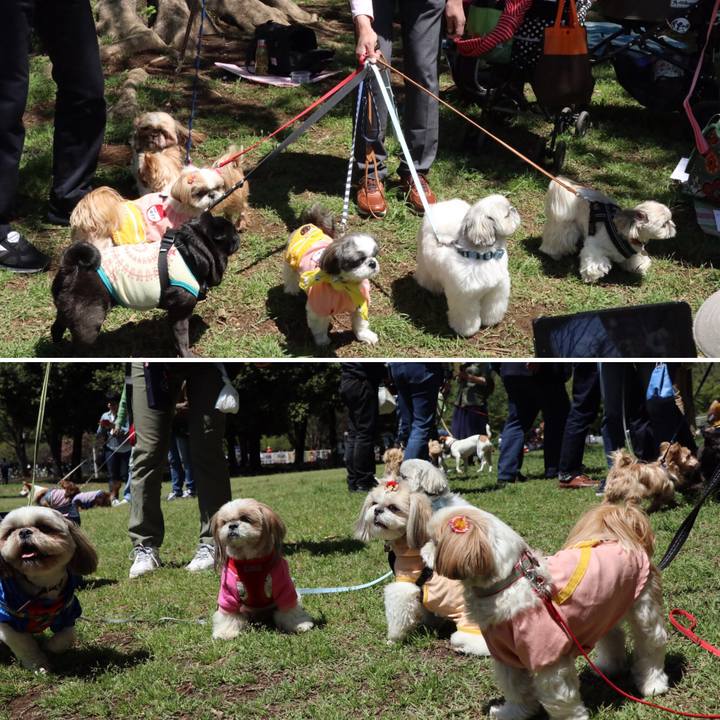 120d7277 cdfb 4c65 bc48 6c1c82ee3aa1