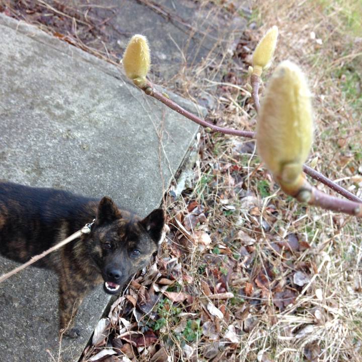 120db012 0889 4b09 9d44 64e0b4bbf470