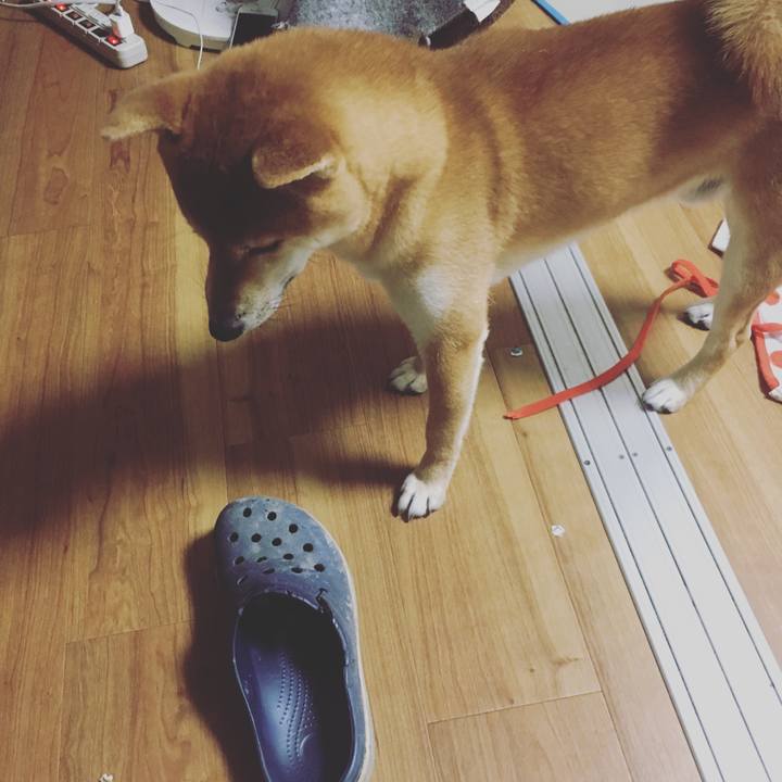 120f1014 913d 4302 8a13 10f1c4f3ff15