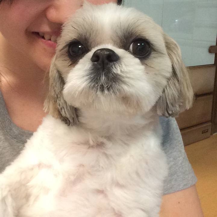 12108179 241e 402c 969f b11bab4d98d9