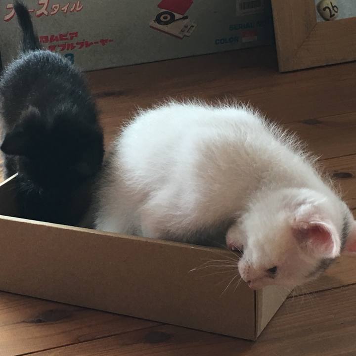 1210e45b 47d6 4cb3 9d63 c4fc7c049740