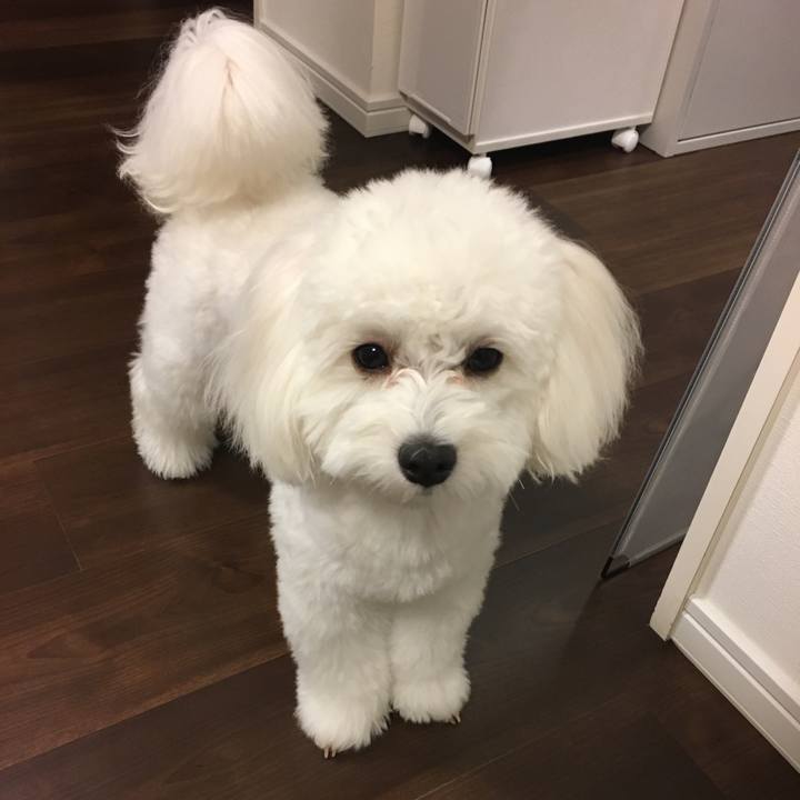 12114ce3 ecf1 4fca 9251 a0597450e3f5