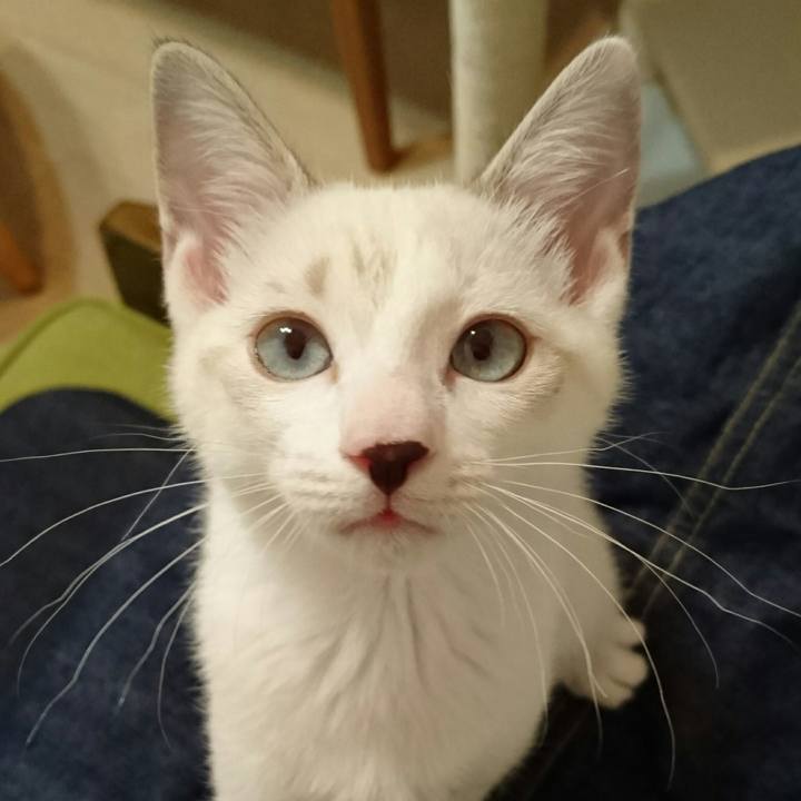 1211a3c6 813d 4b19 9bc2 dc2db289ca49