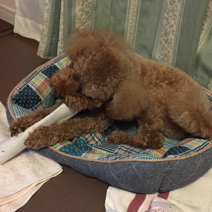 12122bf5 955d 4504 ac7c 26c43a546b6a