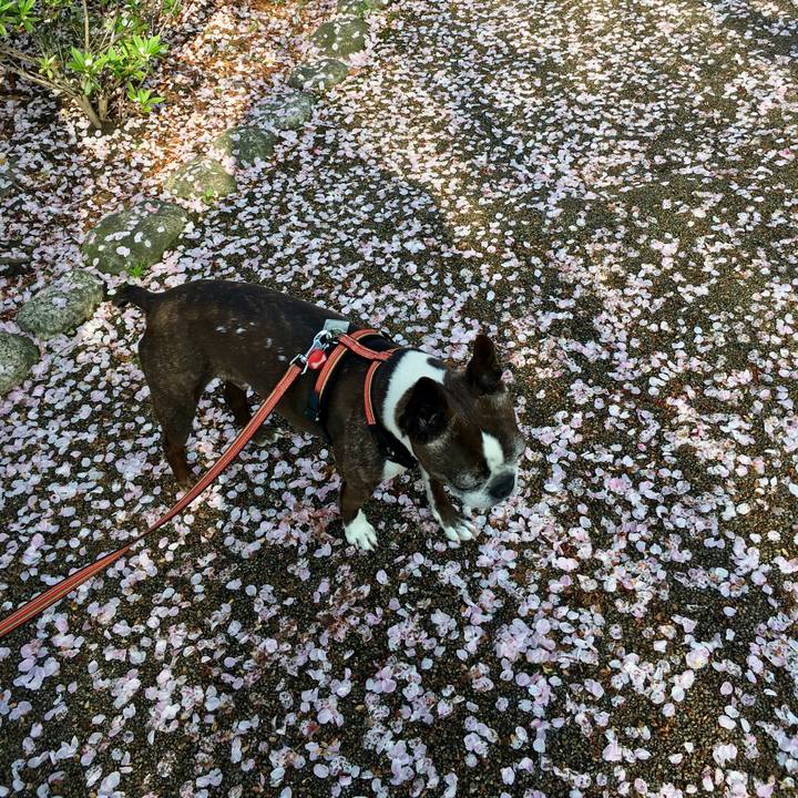 12127fdb b159 4379 9d16 beacfd90b10b