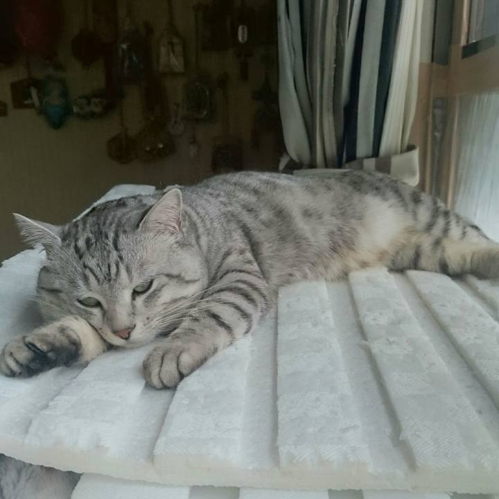 1212a332 41f7 4dfa 9394 83a88cf686e7