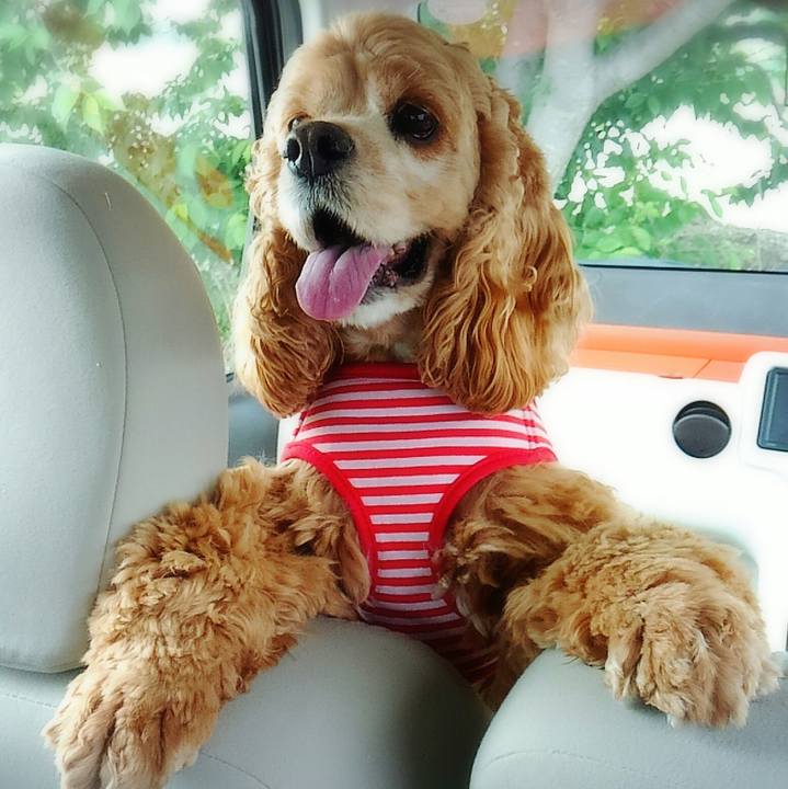 1212aaa4 050b 4f55 9a50 ec4b2c22a774