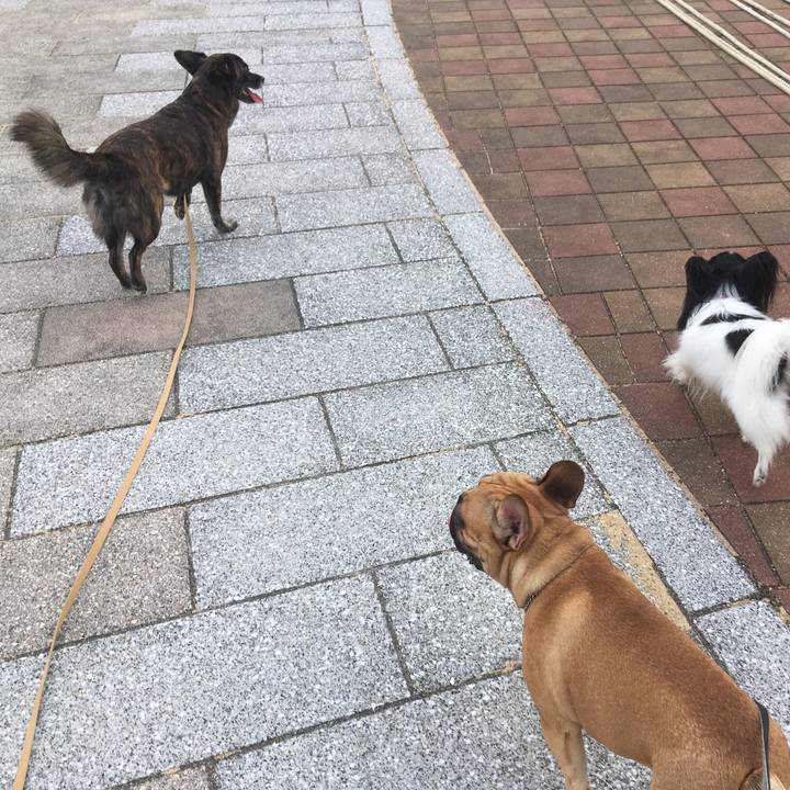 12134d32 18c9 455d bcf6 6f28a3a4cd31