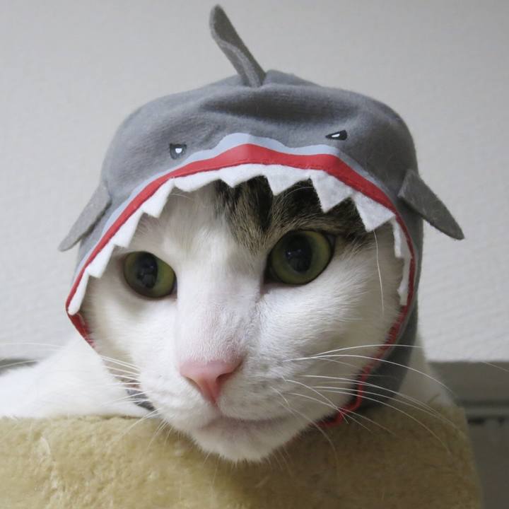 121422ed 2350 48fb a840 6891f5255e07