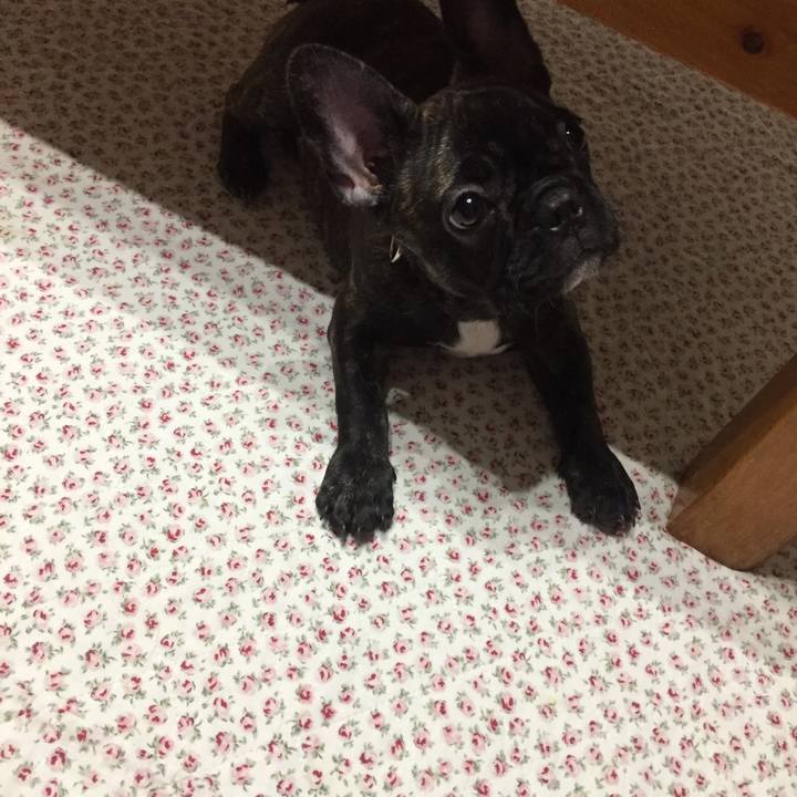 12145b73 ff16 4f46 a12d 63226e514a0c