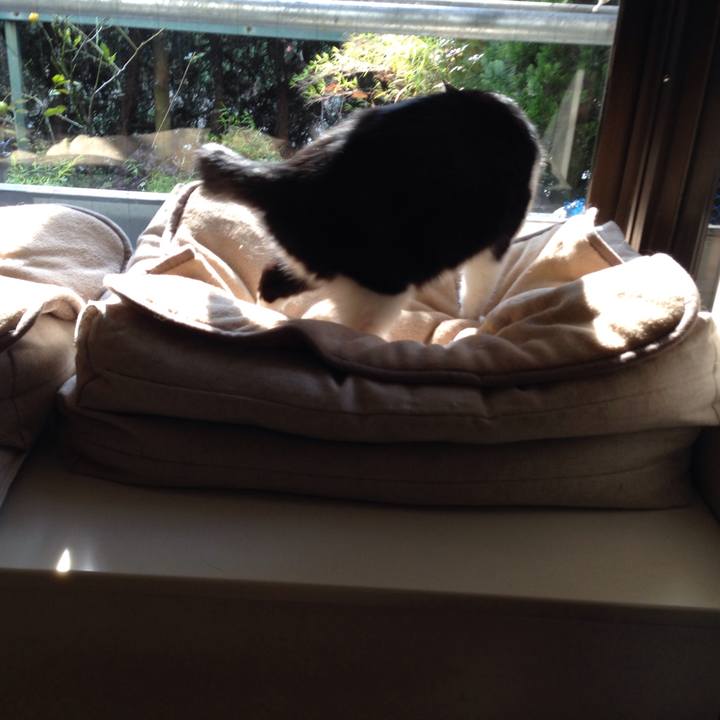 1214e6be f5be 45e7 9901 2a48bdf70bb2