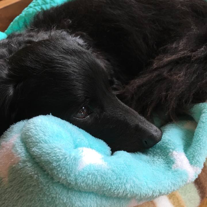 121552a6 c561 48c9 8785 9b9cd0266aff