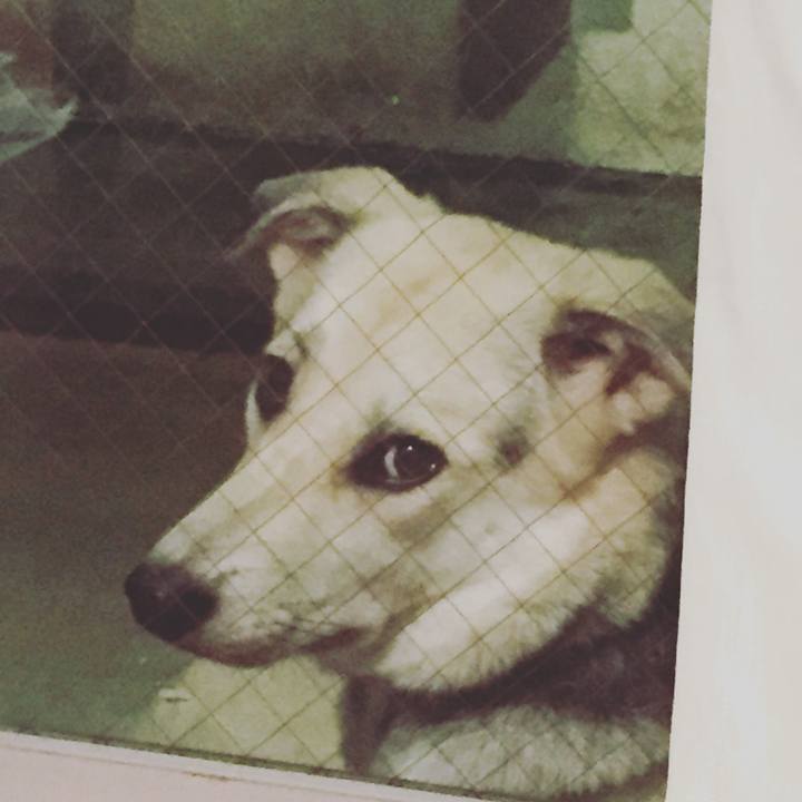 1215fe58 9fac 4894 9690 191735acee75