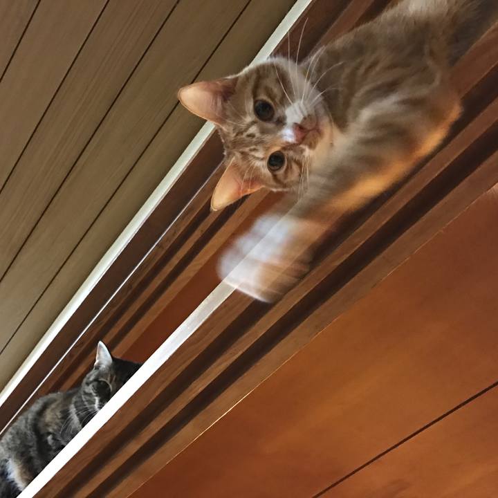 12160e1b a0a2 4ff8 b1d7 b2d3c513c4e9