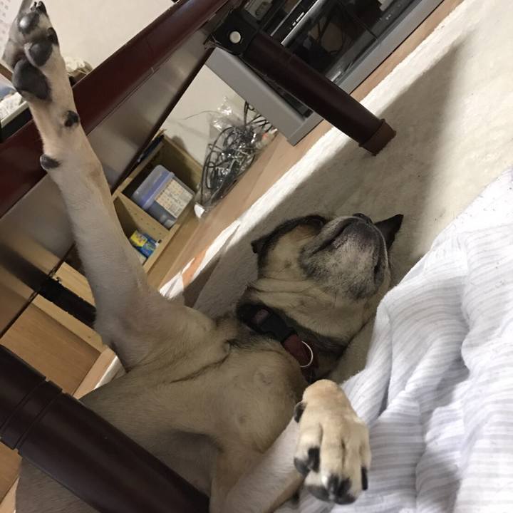 12166360 4752 49e2 9cc0 f4a145773fb1